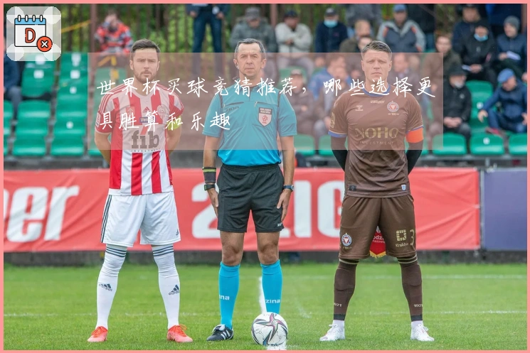 世界杯买球竞猜推荐，哪些选择更具胜算和乐趣