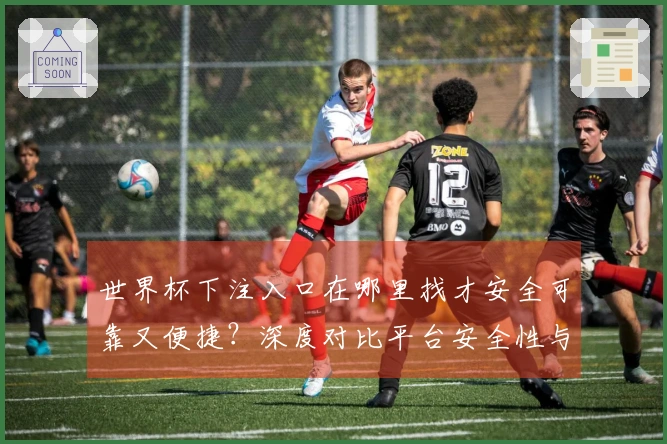世界杯下注入口在哪里找才安全可靠又便捷？深度对比平台安全性与操作流程