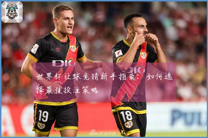 世界杯让球竞猜新手指南：如何选择最佳投注策略