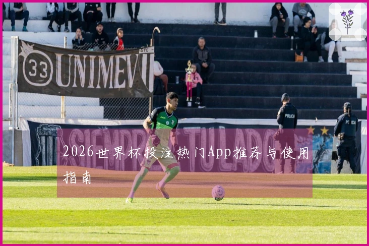 2026世界杯投注热门App推荐与使用指南