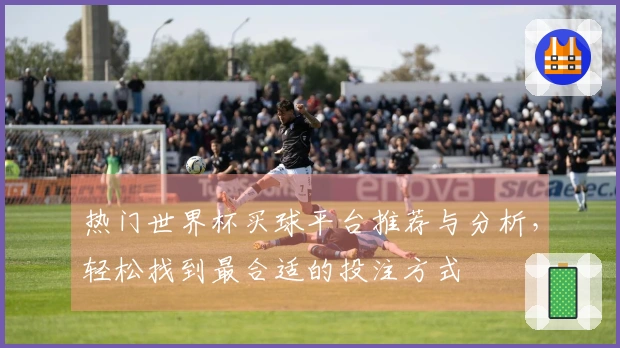 热门世界杯买球平台推荐与分析,轻松找到最合适的投注方式