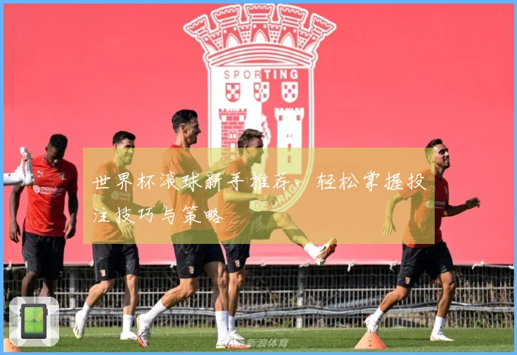 世界杯滚球新手推荐,轻松掌握投注技巧与策略