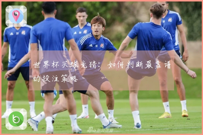 世界杯买球竞猜：如何判断最靠谱的投注策略