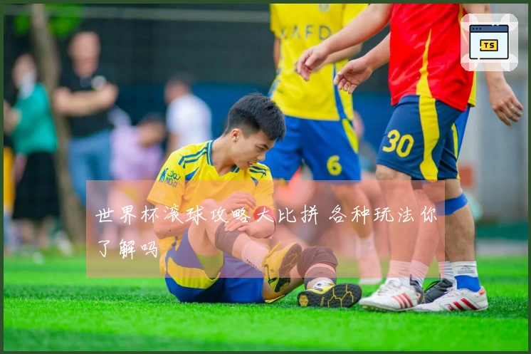 世界杯滚球攻略大比拼 各种玩法你了解吗