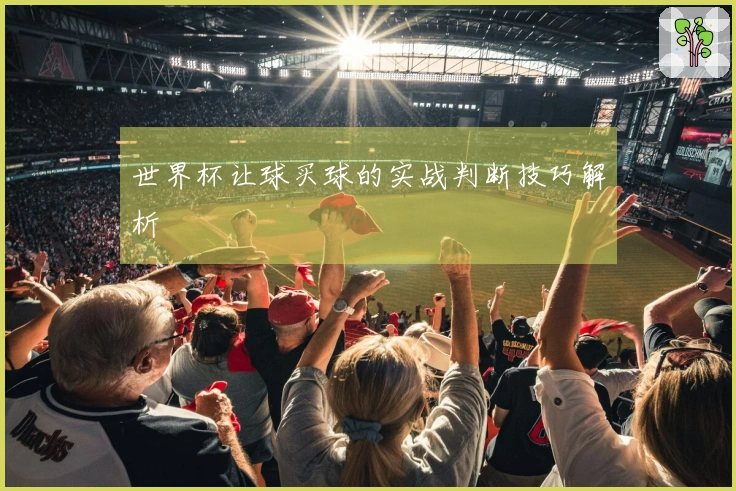 世界杯让球买球的实战判断技巧解析