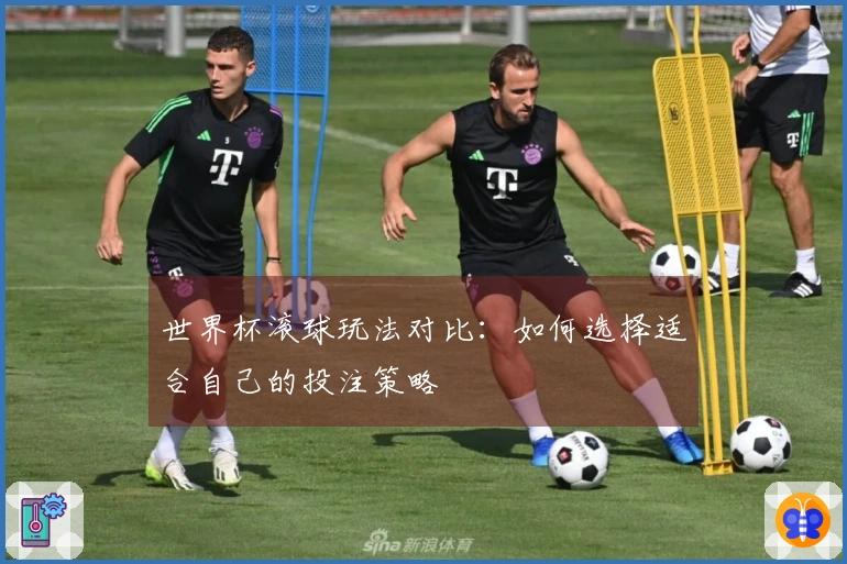 世界杯滚球玩法对比：如何选择适合自己的投注策略