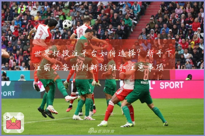 世界杯投注平台如何选择？新手下注前必备的判断标准和注意事项