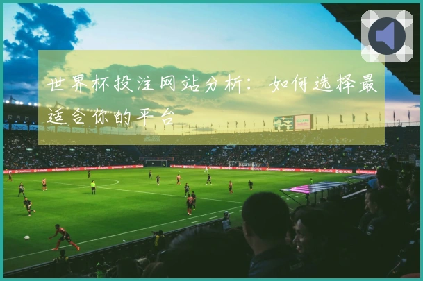 世界杯投注网站分析：如何选择最适合你的平台