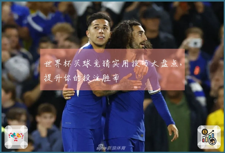 世界杯买球竞猜实用技巧大盘点，提升你的投注胜率