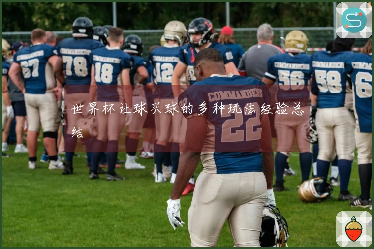 世界杯让球买球的多种玩法经验总结