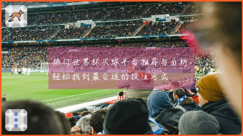 热门世界杯买球平台推荐与分析，轻松找到最合适的投注方式