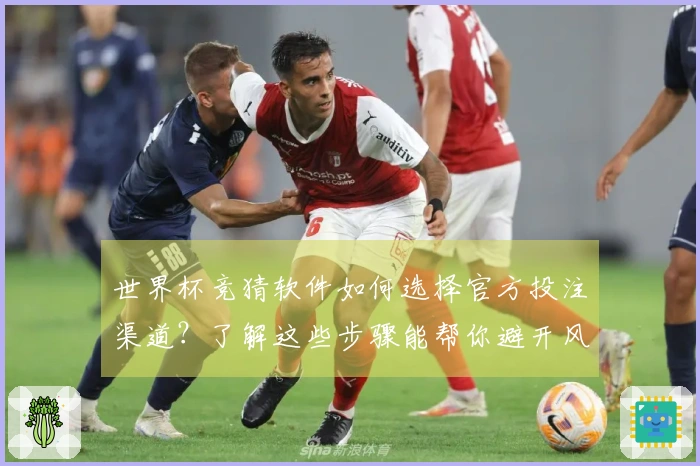 世界杯竞猜软件如何选择官方投注渠道？了解这些步骤能帮你避开风险