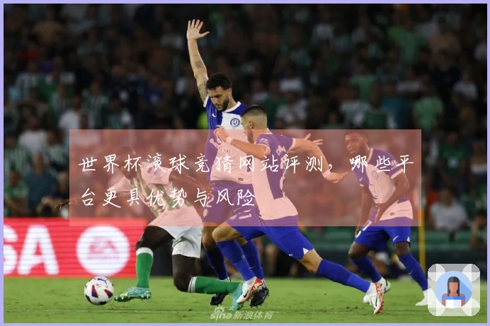 世界杯滚球竞猜网站评测，哪些平台更具优势与风险