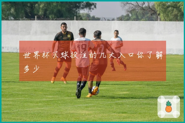 世界杯买球投注的几大入口你了解多少