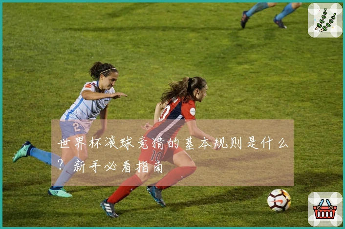 世界杯滚球竞猜的基本规则是什么？新手必看指南