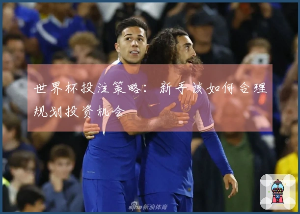 世界杯投注策略：新手该如何合理规划投资机会