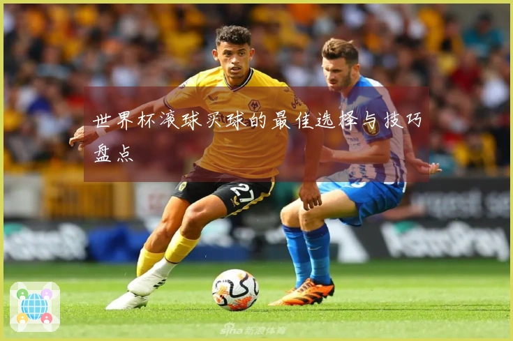 世界杯滚球买球的最佳选择与技巧盘点