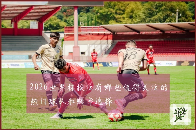 2026世界杯投注有哪些值得关注的热门球队和赔率选择