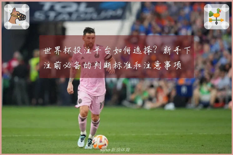 世界杯投注平台如何选择？新手下注前必备的判断标准和注意事项