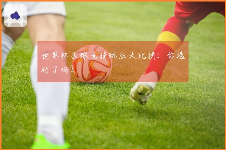 世界杯买球竞猜玩法大比拼：你选对了吗？