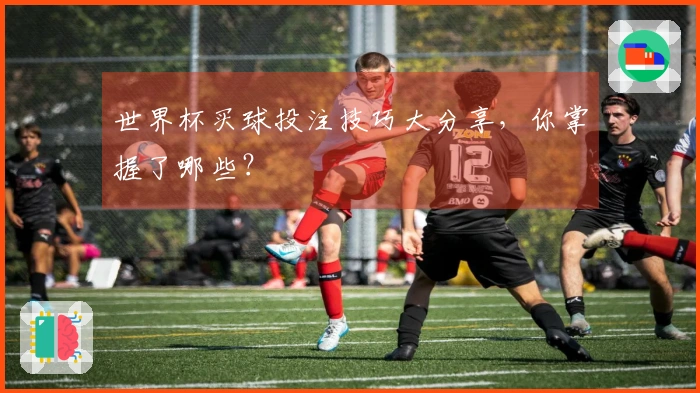 世界杯买球投注技巧大分享，你掌握了哪些？