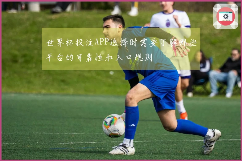世界杯投注APP选择时需要了解哪些平台的可靠性和入口规则