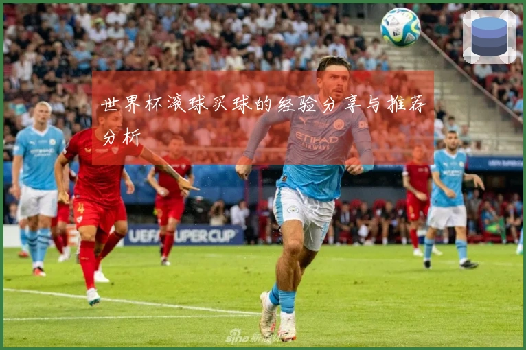 世界杯滚球买球的经验分享与推荐分析