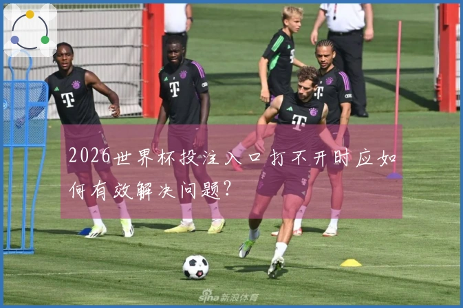 2026世界杯投注入口打不开时应如何有效解决问题？