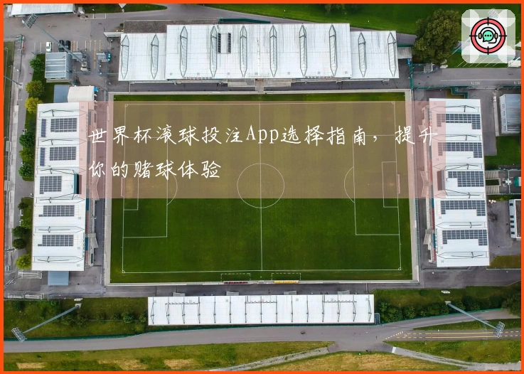 世界杯滚球投注App选择指南，提升你的赌球体验
