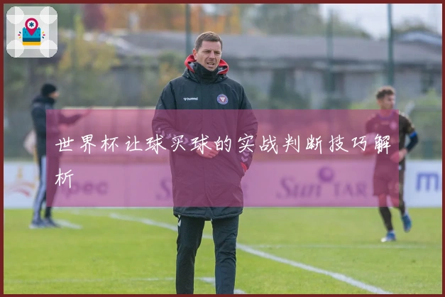 世界杯让球买球的实战判断技巧解析