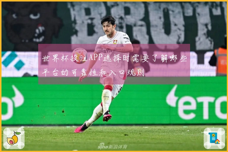 世界杯投注APP选择时需要了解哪些平台的可靠性和入口规则